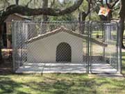 Dog House